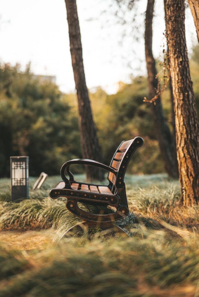 Banc en bois vide dans un parc ensoleillé, illustration d'un lieu de promenade familier et rassurant pour une personne accompagnée